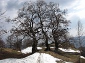 44 Ultima neve ai Tre Faggi